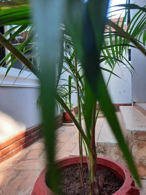 Ellyz Home Stay Moshi Buitenkant foto